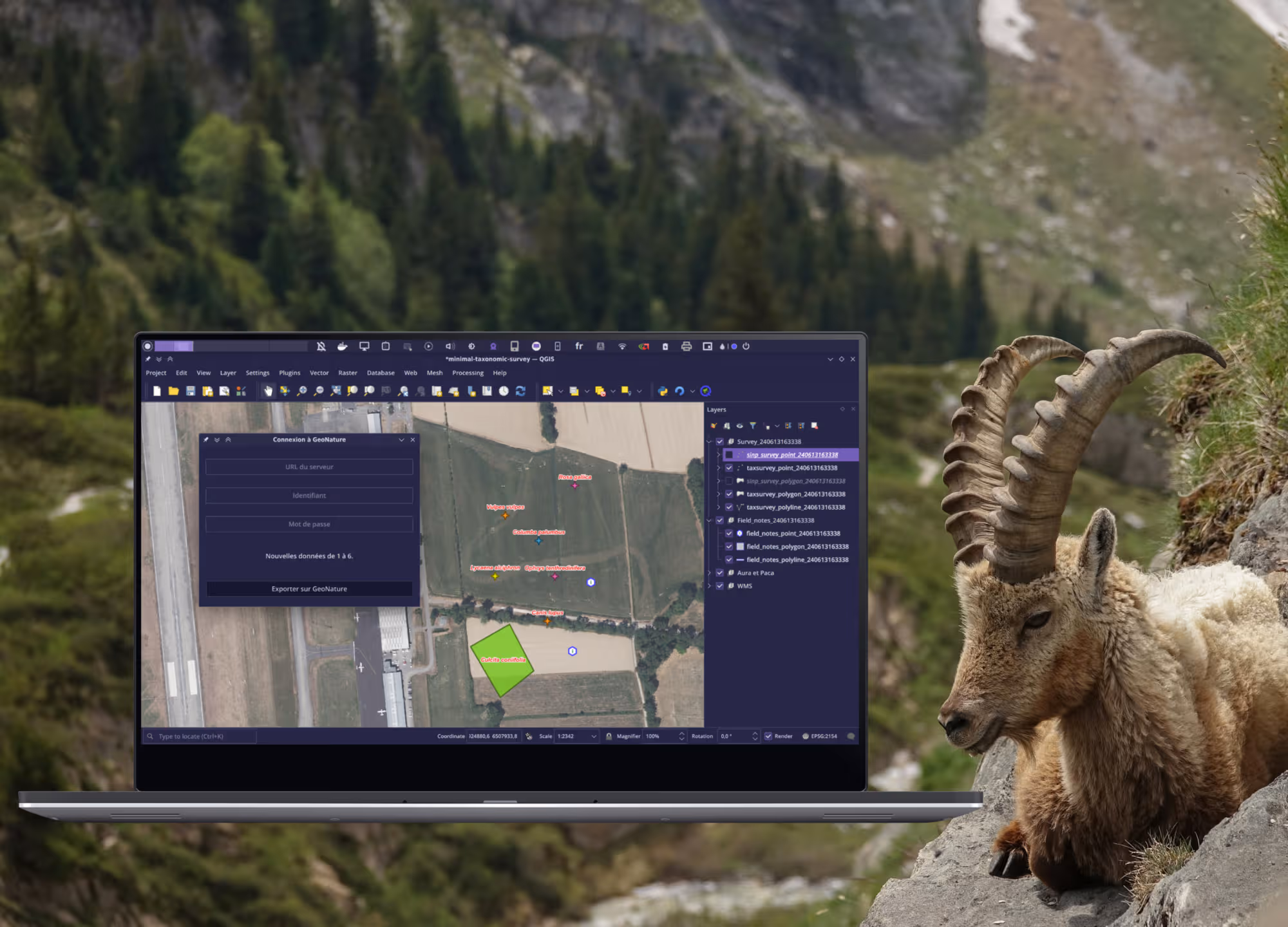 Capture d'écran de l'interface utilisateur de PyTaxField